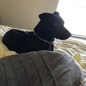 Meet your Posher, Kristin